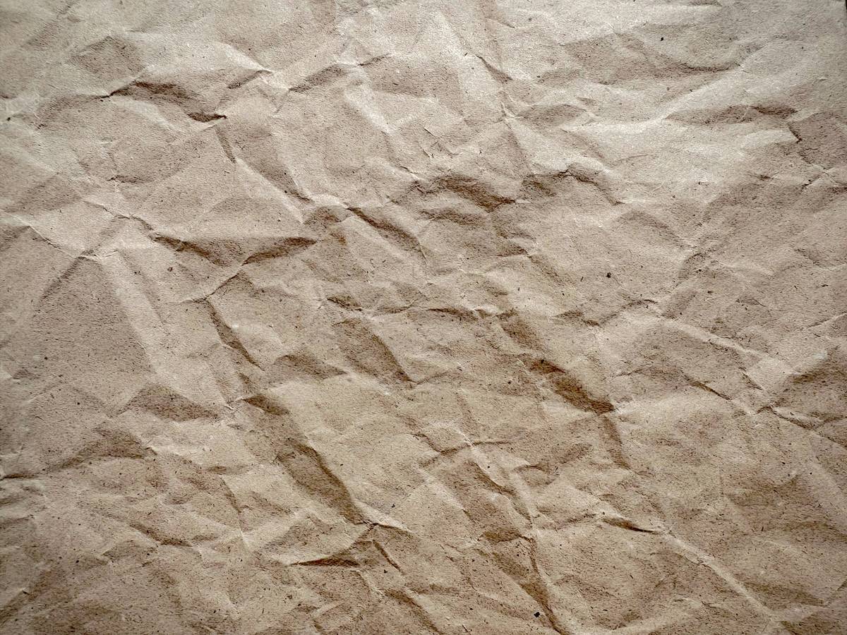 Bar chart comparing decomposition timelines: conventional toilet paper takes 1-5 years in landfills vs. biodegradable TP breaking down in 4-12 weeks in water or soil