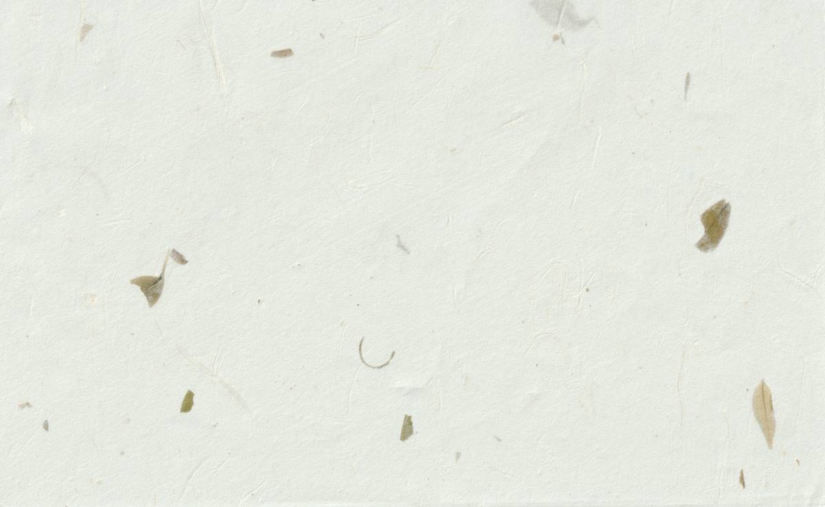 Is Simple Green Biodegradable? The Truth About This “Eco” Toilet Paper Brand